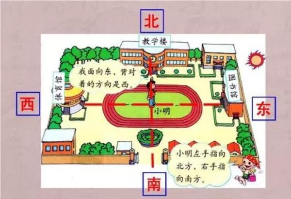 当你面向东南方向时你的左边是什么方向？当你面向东南方向时你的左边是什么方向呢？-第2张图片-屿企百科网