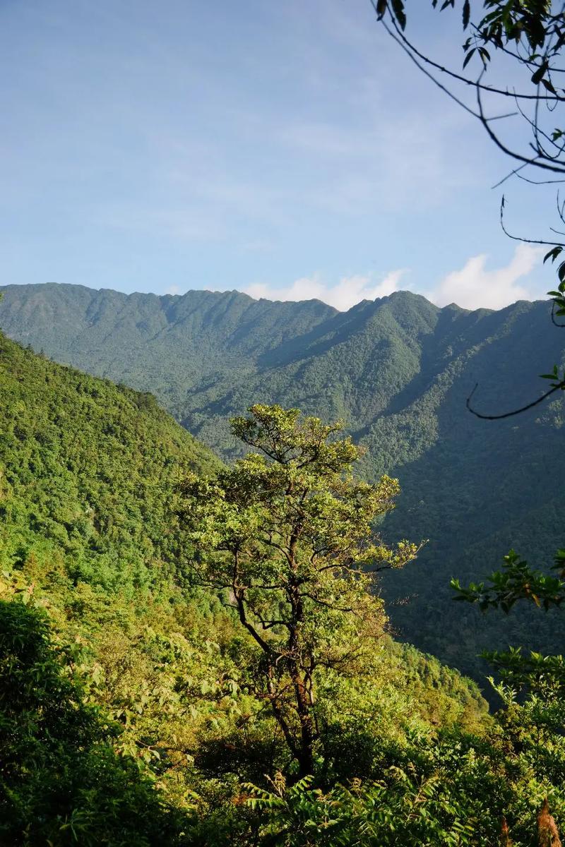 山形天气预报15天，山亚天气预报一周？