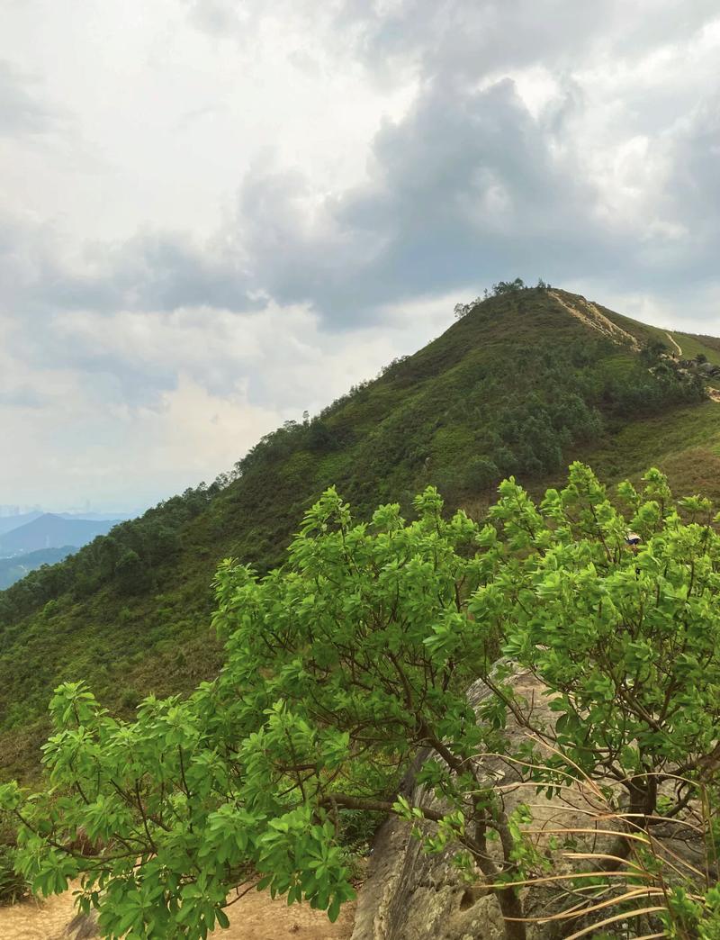 山形天气预报15天，山亚天气预报一周？-第6张图片-屿企百科网