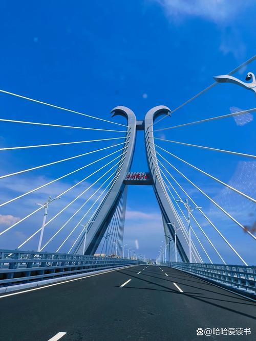 北海限号是怎么限的，北海限外地车牌吗？-第4张图片-屿企百科网