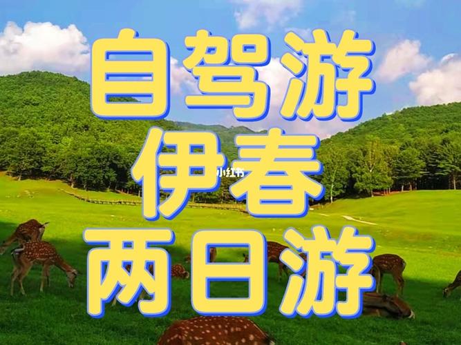 伊春旅游攻略自助游,伊春旅游攻略自助游路线图-第2张图片-屿企百科网 伊春旅游攻略自助游,伊春旅游攻略自助游路线图-第2张图片-屿企百科网