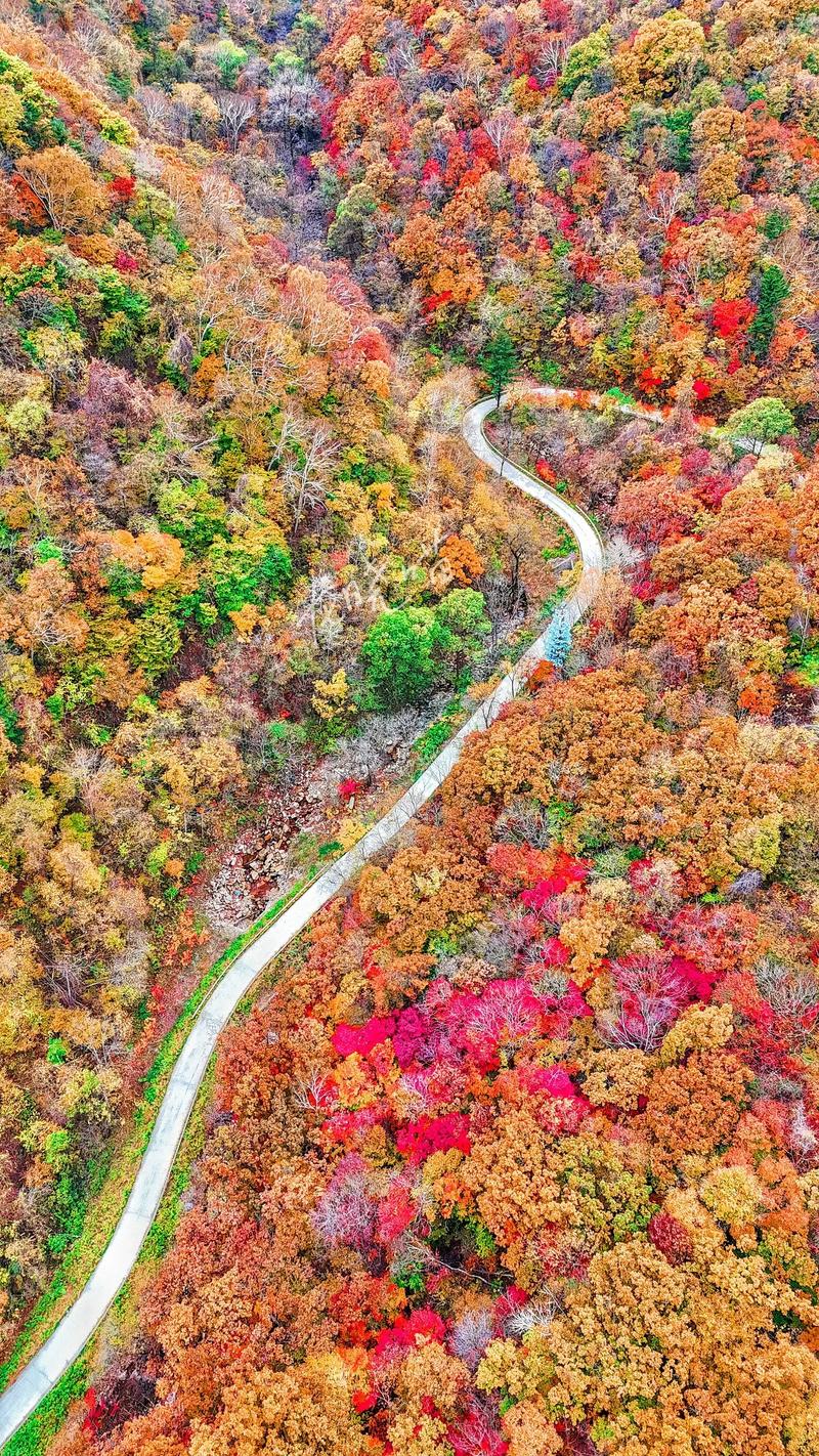 汪清县天气预报今天？汪清县天气预报今天逐小时？-第1张图片-屿企百科网