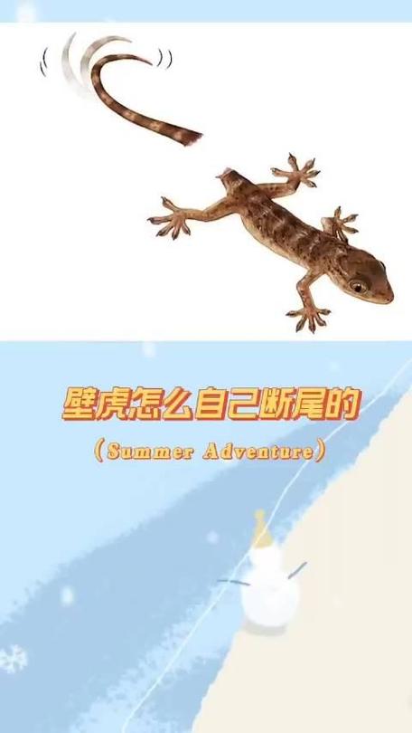 壁虎的尾巴为什么断了还能长出来,壁虎的尾巴为什么断了还能长出来吗?-第1张图片-屿企百科网 壁虎的尾巴为什么断了还能长出来,壁虎的尾巴为什么断了还能长出来吗?-第1张图片-屿企百科网