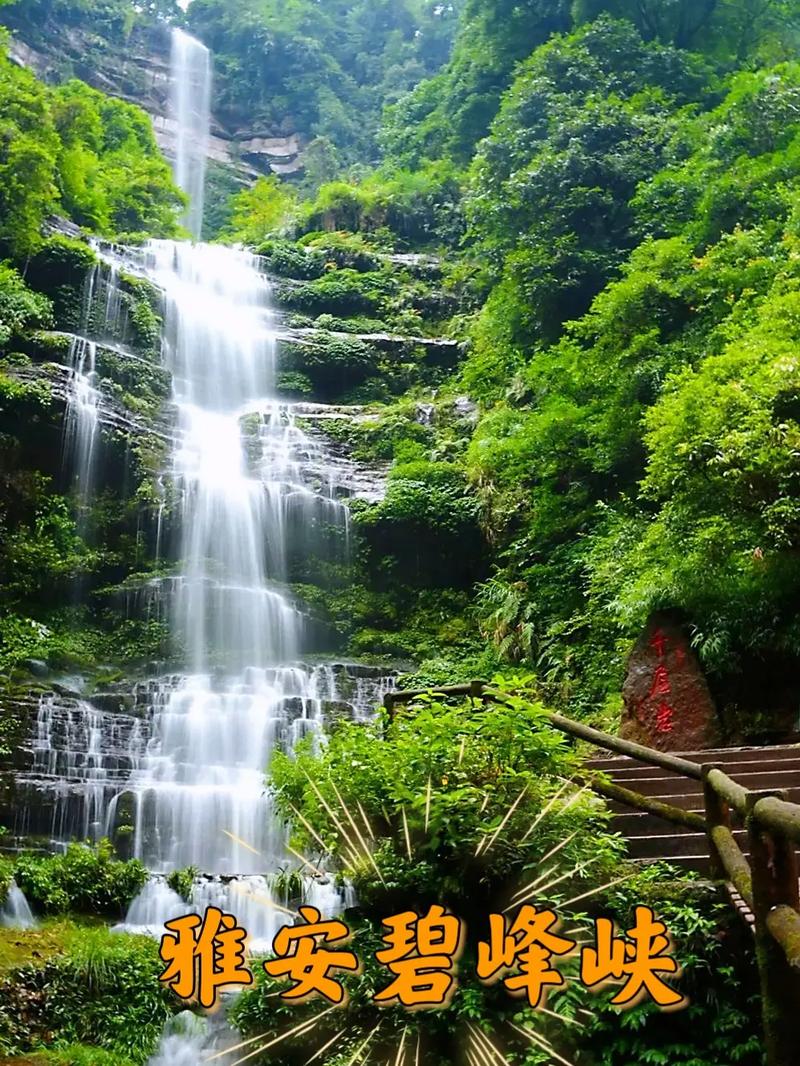 四川雅安旅游攻略，四川雅安旅游攻略景点？-第2张图片-屿企百科网