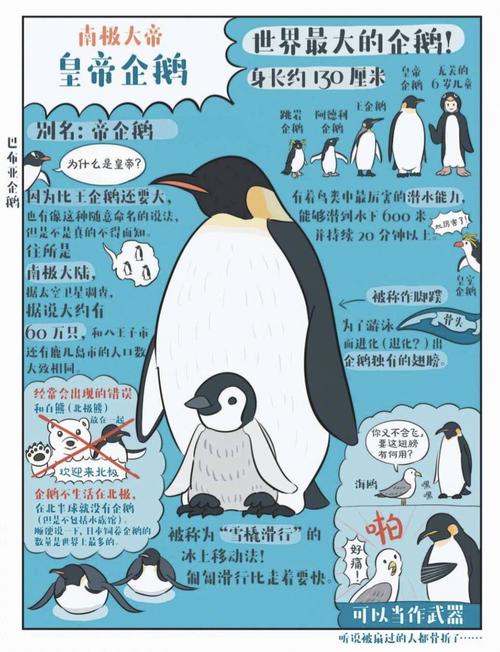 企鹅为什么不能摸？企鹅为什么不能穿衣服？-第8张图片-屿企百科网