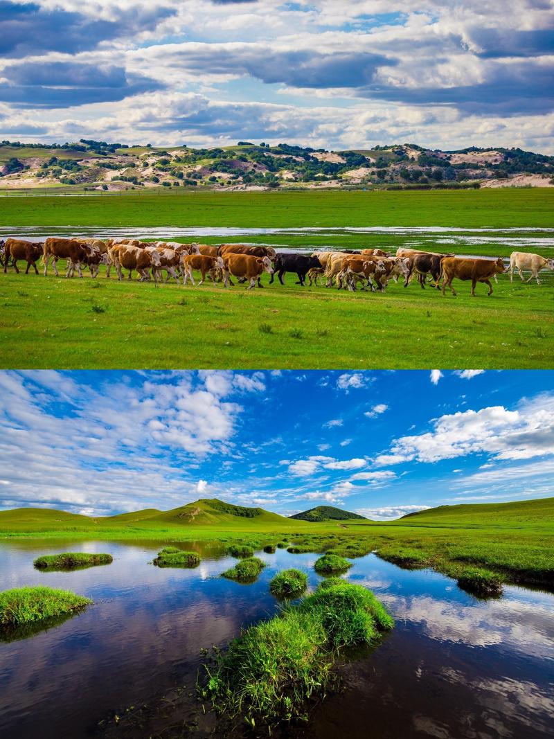 内蒙古自由行旅游攻略，内蒙古自由行攻略怎么玩-第3张图片-屿企百科网