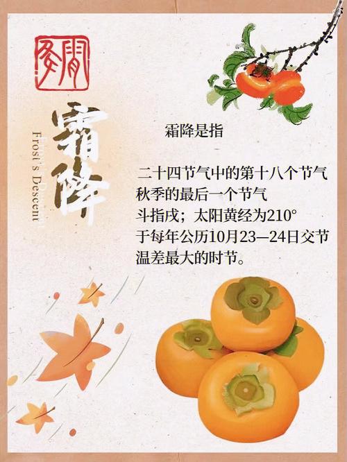 霜降下一个节气是什么时候，霜降以后下一个节气是什么？-第3张图片-屿企百科网