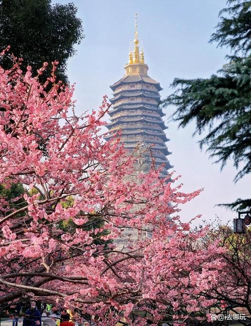 常州旅游景点大全介绍,常州旅游景点简介?-第6张图片-屿企百科网 常州旅游景点大全介绍,常州旅游景点简介?-第6张图片-屿企百科网