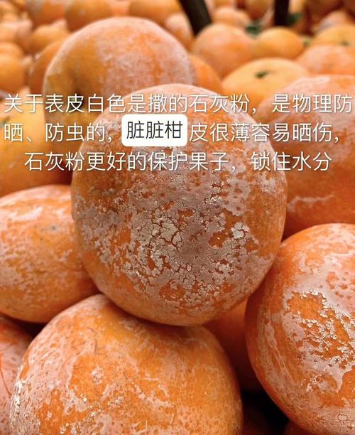 脏脏柑为什么带石灰，为什么叫脏脏柑？-第6张图片-屿企百科网