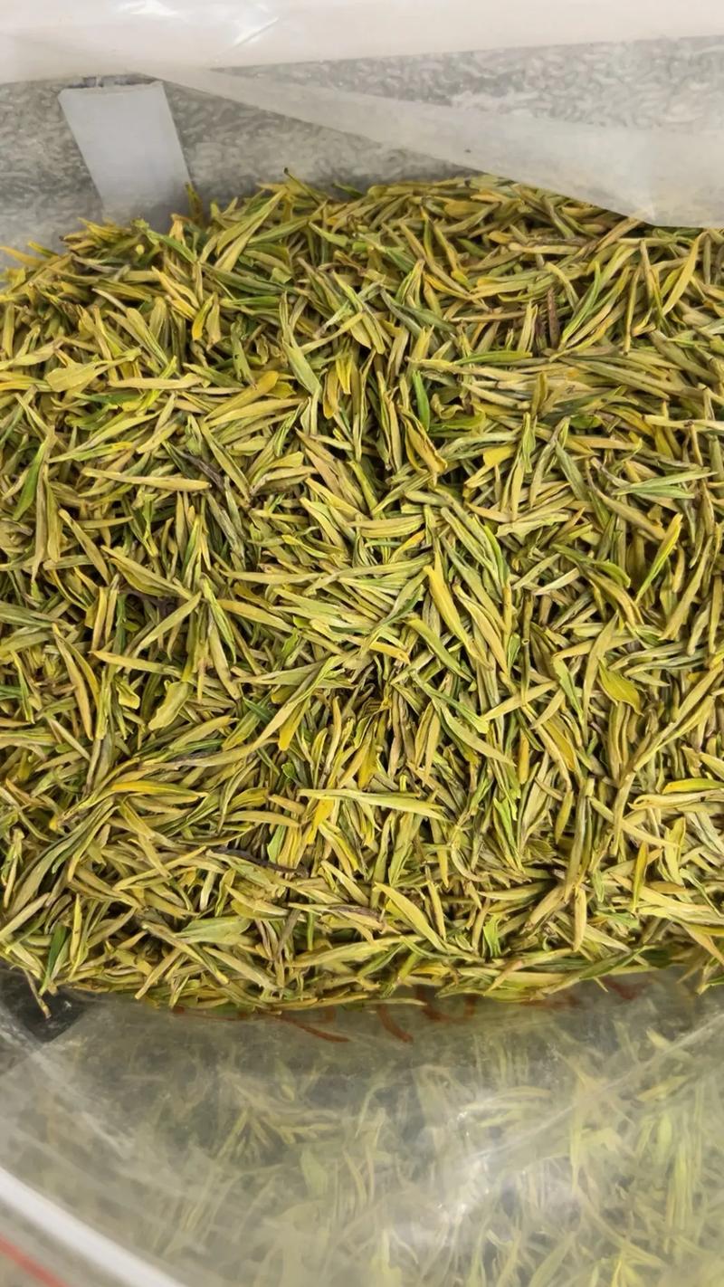 黄金芽茶叶是什么茶,黄金茶是什么茶?-第3张图片-屿企百科网 黄金芽茶叶是什么茶,黄金茶是什么茶?-第3张图片-屿企百科网