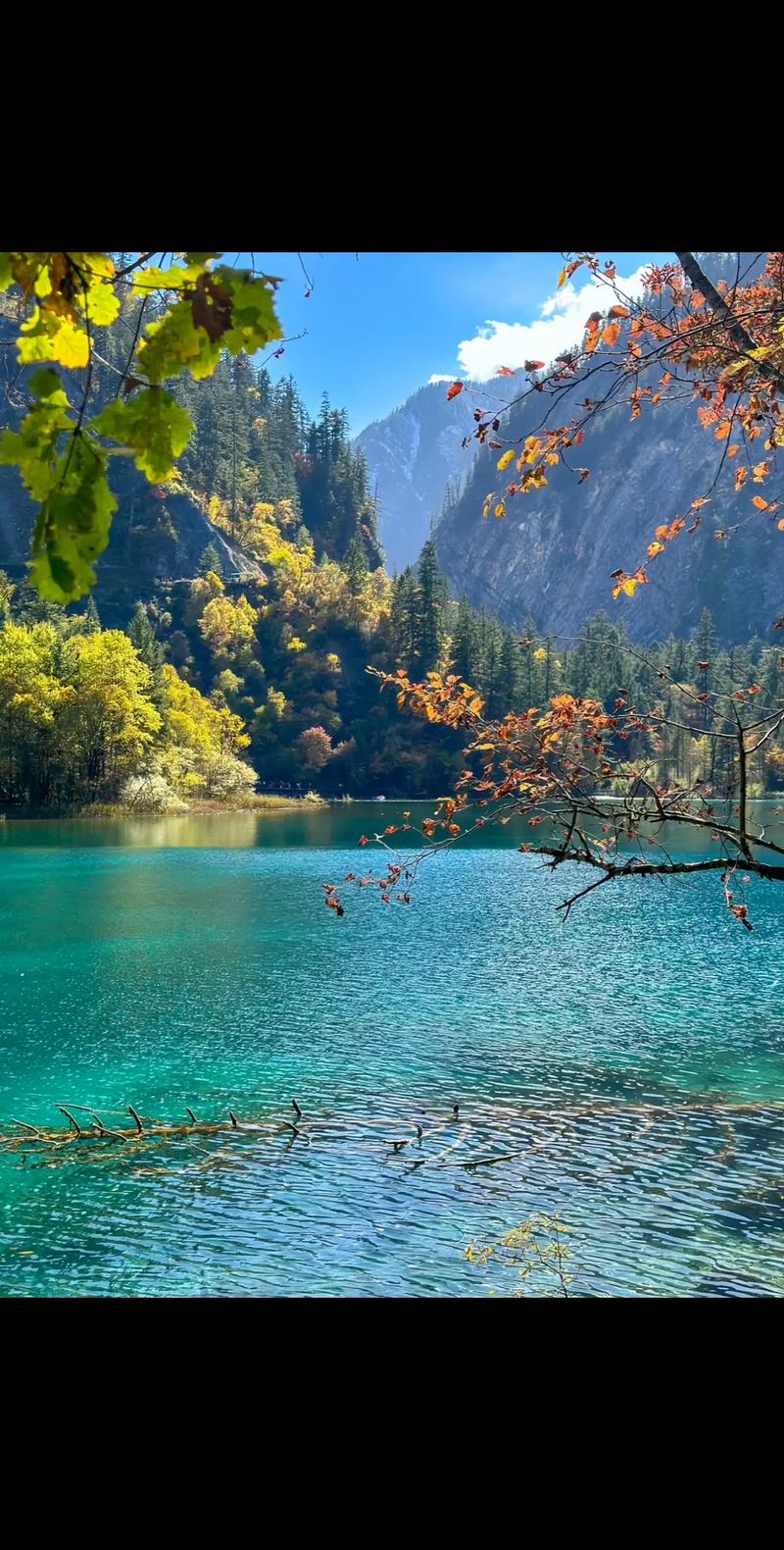 九寨沟主要景点介绍，九寨沟景区景点简介？-第3张图片-屿企百科网