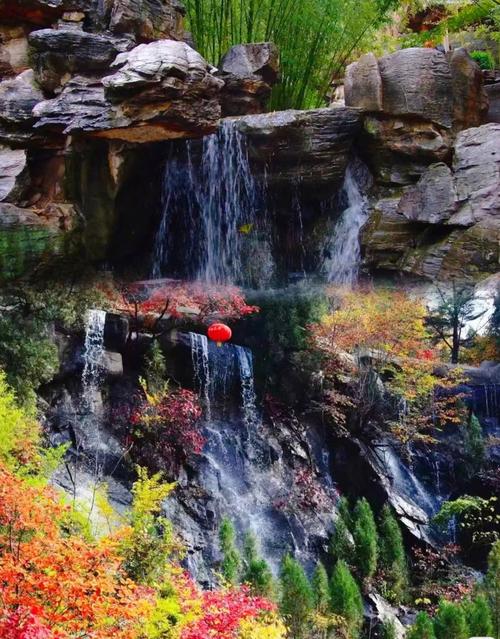 济南红叶谷景区门票，济南红叶谷景区门票是多少？-第2张图片-屿企百科网