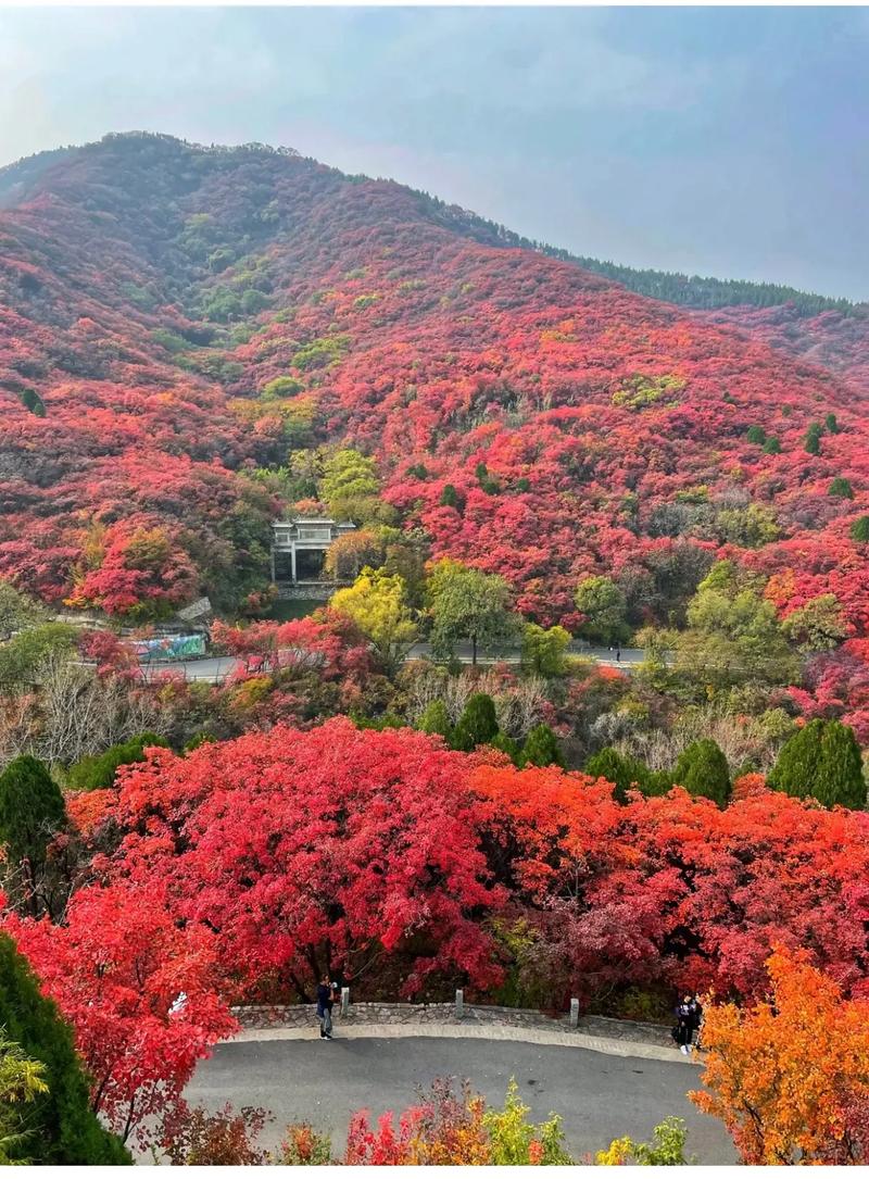 济南红叶谷景区门票，济南红叶谷景区门票是多少？-第3张图片-屿企百科网