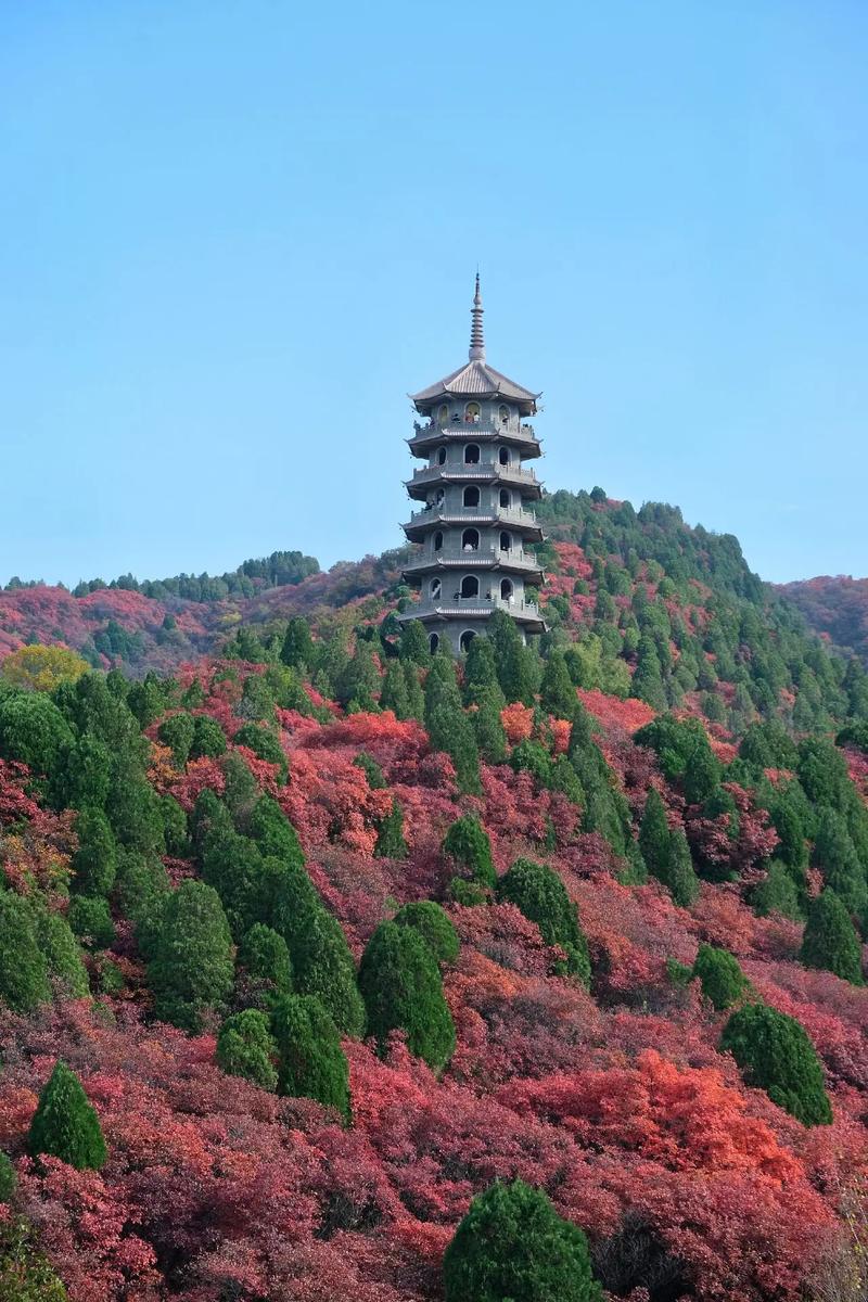 济南红叶谷景区门票，济南红叶谷景区门票是多少？-第6张图片-屿企百科网