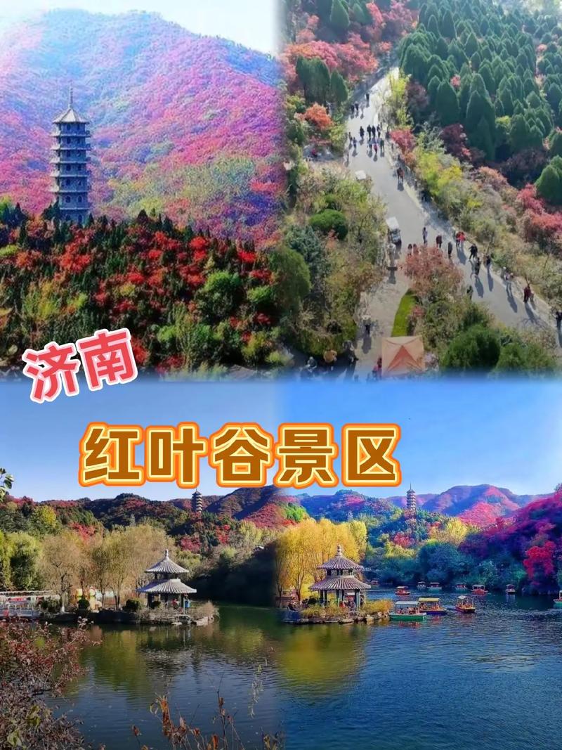 济南红叶谷景区门票，济南红叶谷景区门票是多少？-第8张图片-屿企百科网