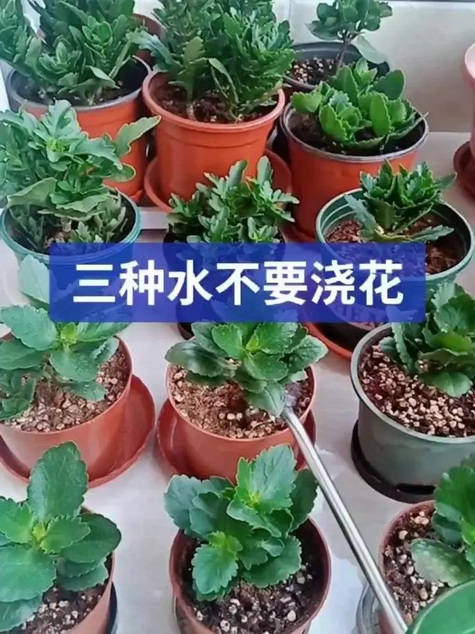 空调排出的水可以洗手吗，空调排出来的水可以洗菜吗-第2张图片-屿企百科网
