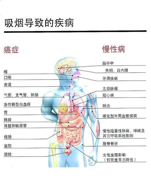 香烟使人上瘾的原因是什么物质，香烟让人上瘾的原因-第5张图片-屿企百科网