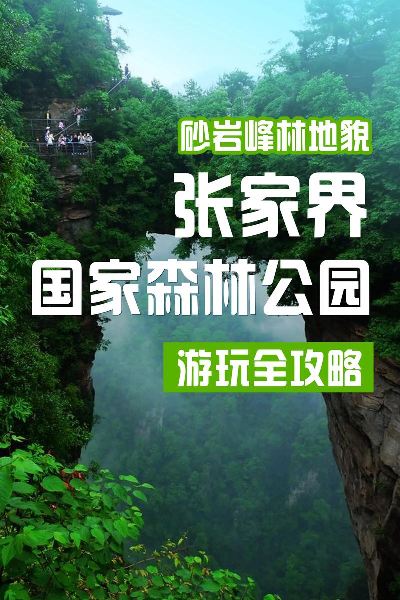 张家界旅游官方网站，张家界旅游官方网站信息-第6张图片-屿企百科网