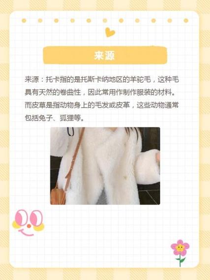 托卡羊毛是什么意思？托卡羊毛皮毛一体怎么打理？-第3张图片-屿企百科网