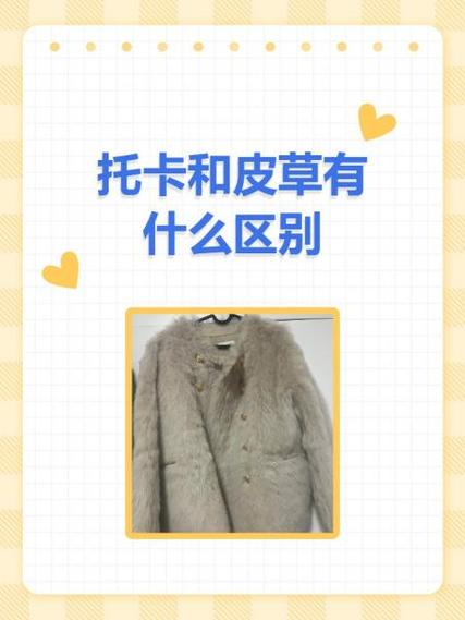 托卡羊毛是什么意思？托卡羊毛皮毛一体怎么打理？-第6张图片-屿企百科网