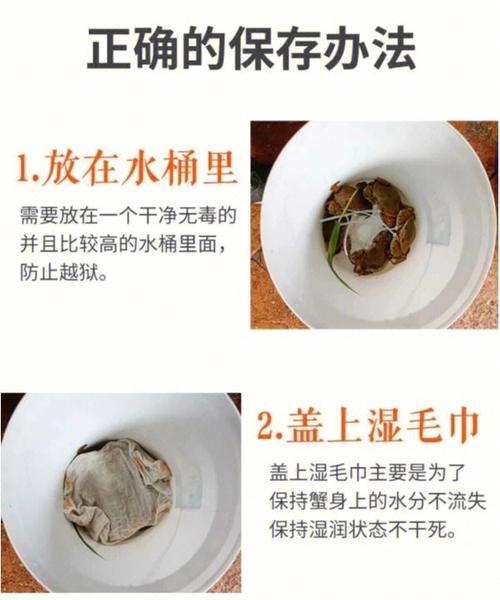 活的青蟹怎么保存方法，活的青蟹怎么保存方法三门青蟹能放冰箱吗？