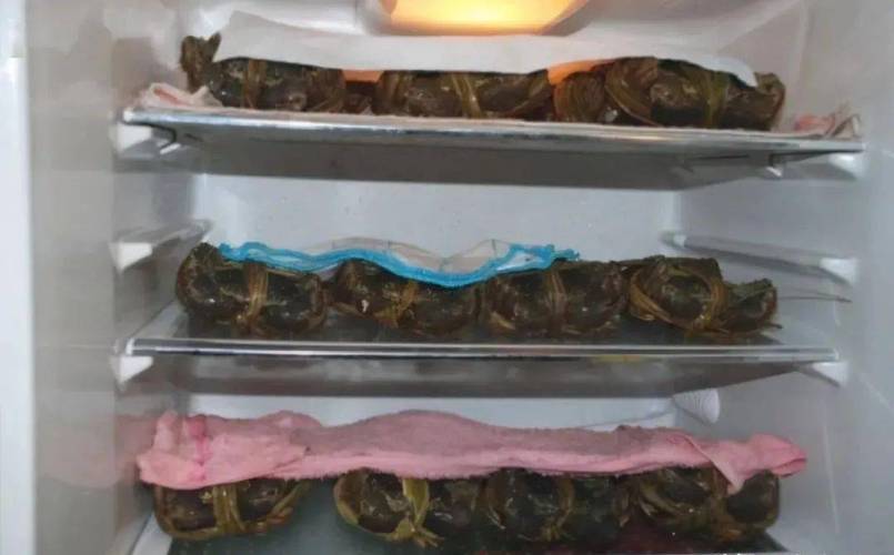 活的青蟹怎么保存方法，活的青蟹怎么保存方法三门青蟹能放冰箱吗？-第6张图片-屿企百科网