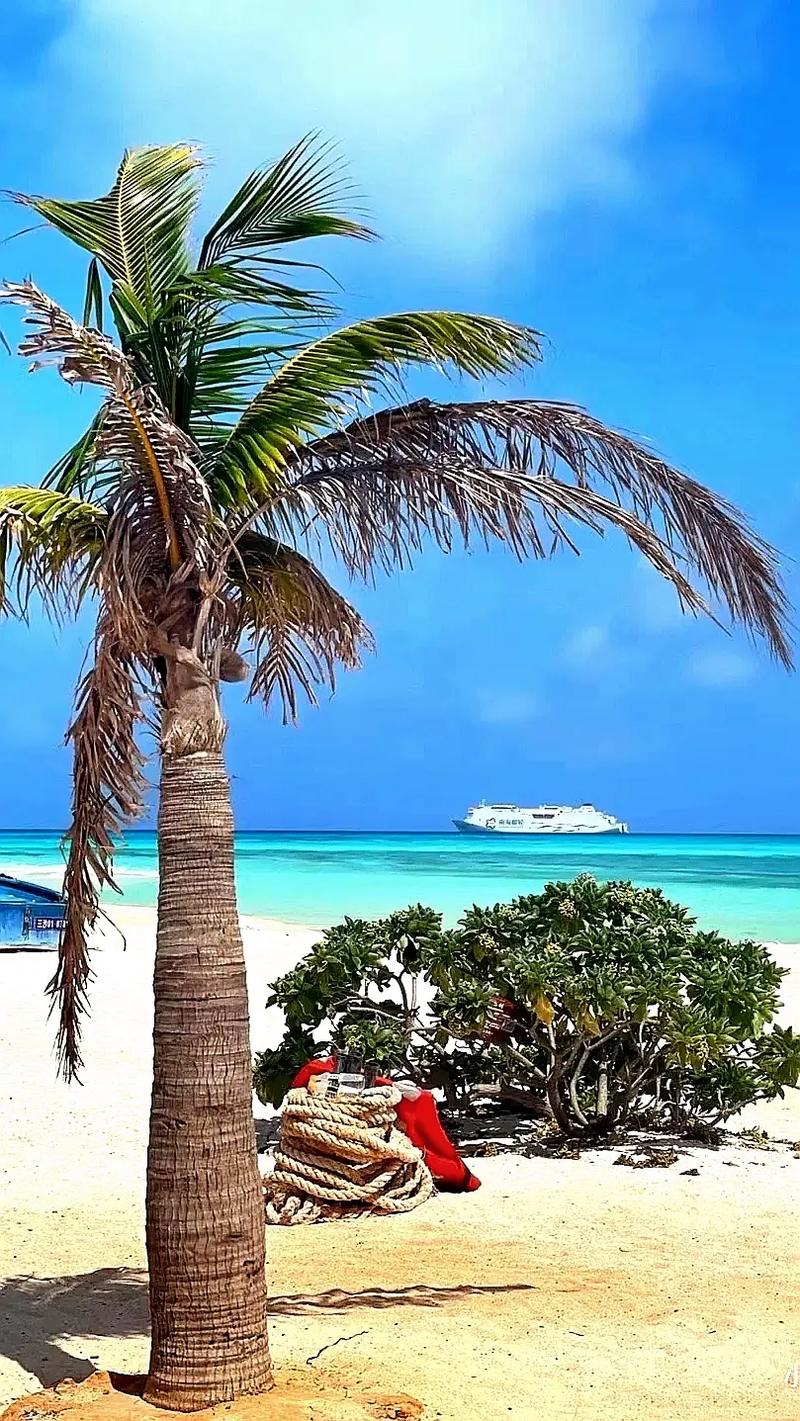 西沙群岛旅游景点，西沙群岛旅游景点图片高清-第8张图片-屿企百科网