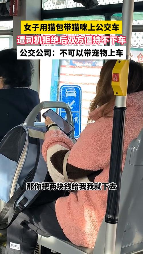 坐公交可以带猫上车吗,坐公交可以带猫上车吗?-第2张图片-屿企百科网 坐公交可以带猫上车吗,坐公交可以带猫上车吗?-第2张图片-屿企百科网