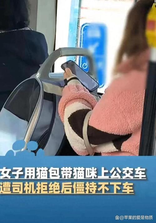 坐公交可以带猫上车吗,坐公交可以带猫上车吗?-第4张图片-屿企百科网 坐公交可以带猫上车吗,坐公交可以带猫上车吗?-第4张图片-屿企百科网