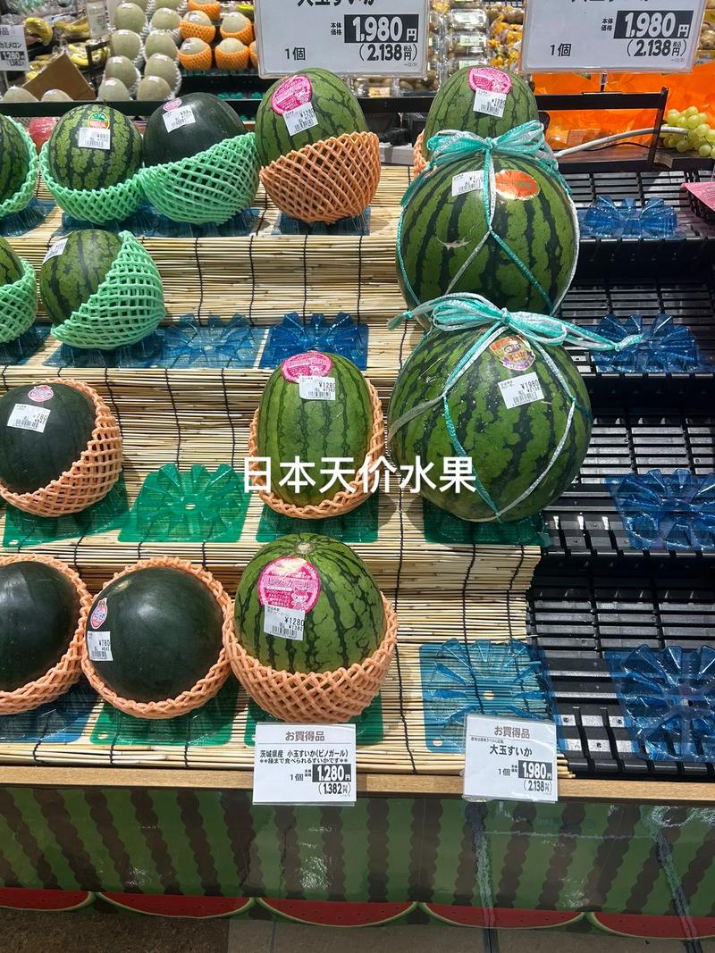 日本西瓜为什么贵,为啥日本的西瓜那么贵?-第3张图片-屿企百科网 日本西瓜为什么贵,为啥日本的西瓜那么贵?-第3张图片-屿企百科网