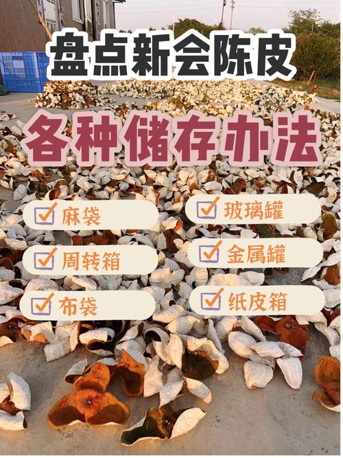 陈皮储存正确方法?陈皮储存正确方法图片?-第6张图片-屿企百科网 陈皮储存正确方法?陈皮储存正确方法图片?-第6张图片-屿企百科网