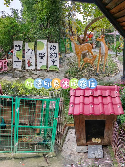厦门农家乐一日游推荐,厦门的农家乐-第3张图片-屿企百科网 厦门农家乐一日游推荐,厦门的农家乐-第3张图片-屿企百科网