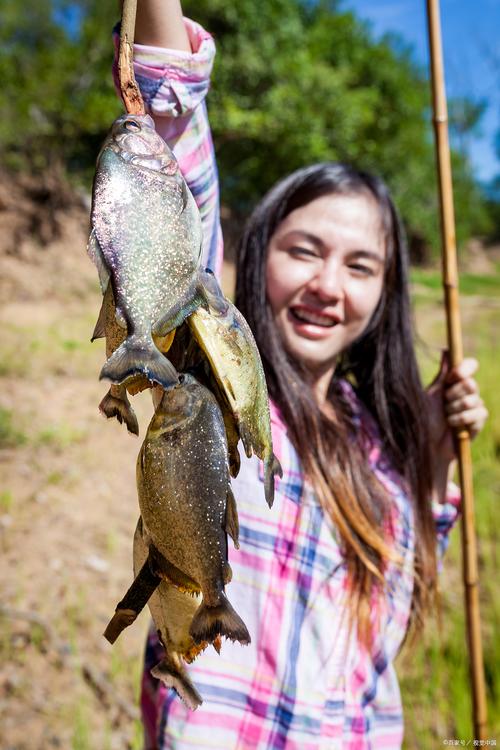 为什么桂鱼比鲈鱼贵？为啥桂鱼比鲈鱼贵？-第4张图片-屿企百科网