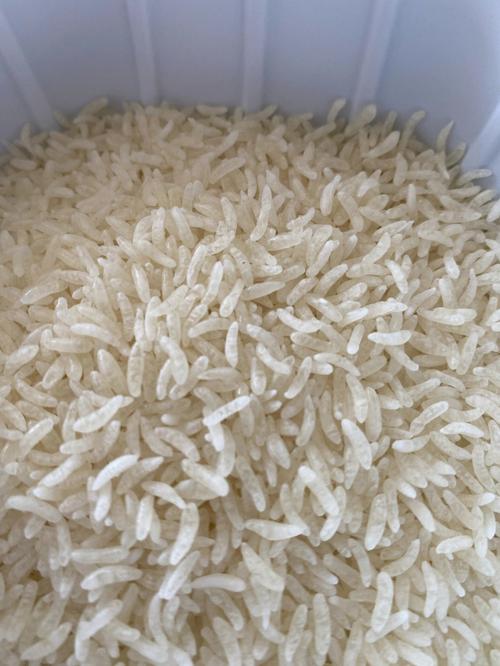 自热米饭的米是什么米，自热米饭的米是什么米能买到吗-第4张图片-屿企百科网