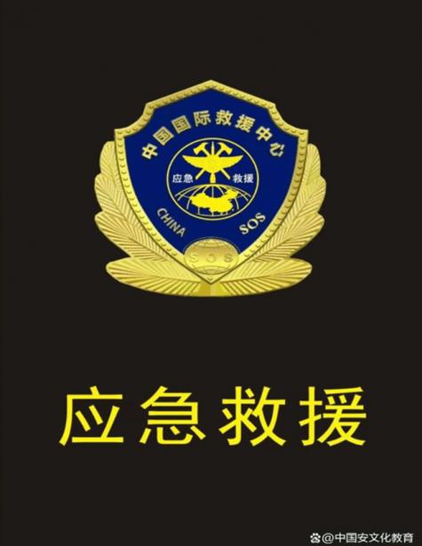 世界应急中心是什么单位，世界应急中心集团有限公司-第4张图片-屿企百科网