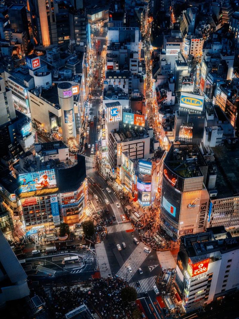 日本景点排名榜前十名,日本景点排名榜前十名英文?-第4张图片-屿企百科网 日本景点排名榜前十名,日本景点排名榜前十名英文?-第4张图片-屿企百科网