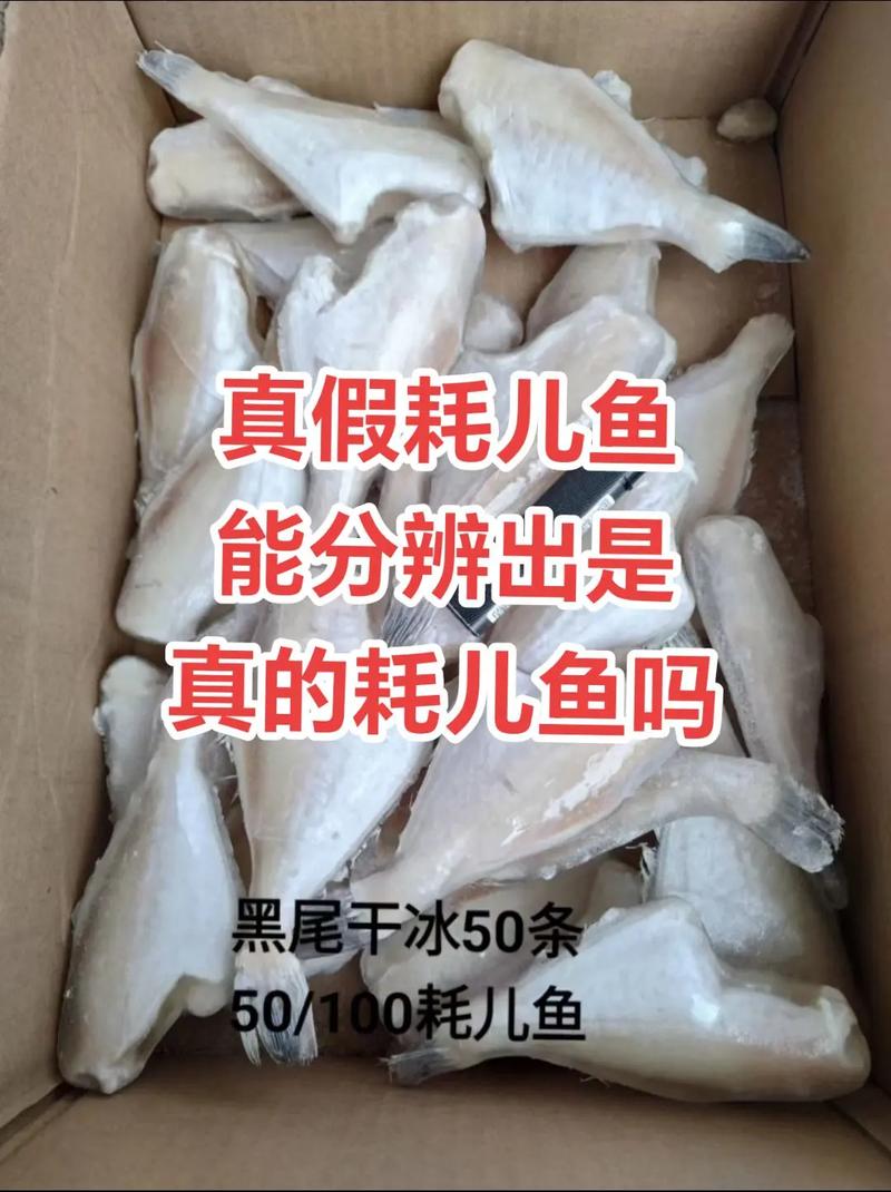 耗儿鱼为什么没有头，耗儿鱼头为什么没人吃？-第3张图片-屿企百科网