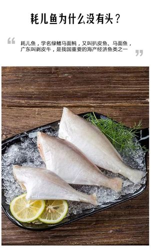 耗儿鱼为什么没有头，耗儿鱼头为什么没人吃？-第4张图片-屿企百科网