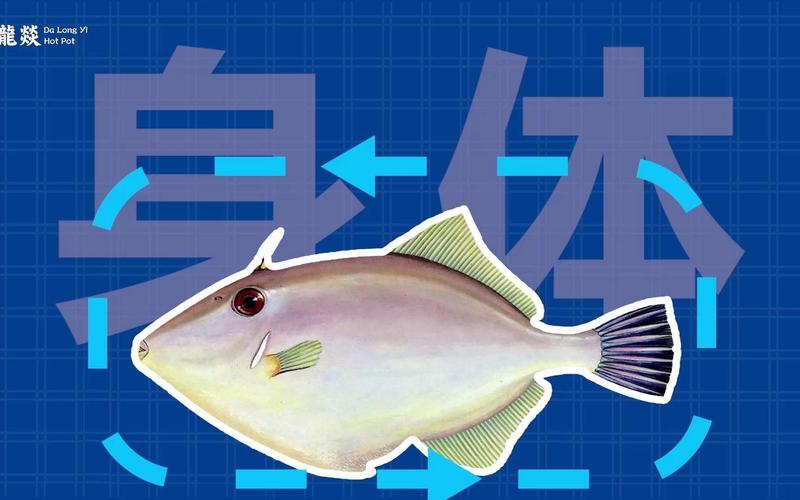 耗儿鱼为什么没有头，耗儿鱼头为什么没人吃？-第5张图片-屿企百科网