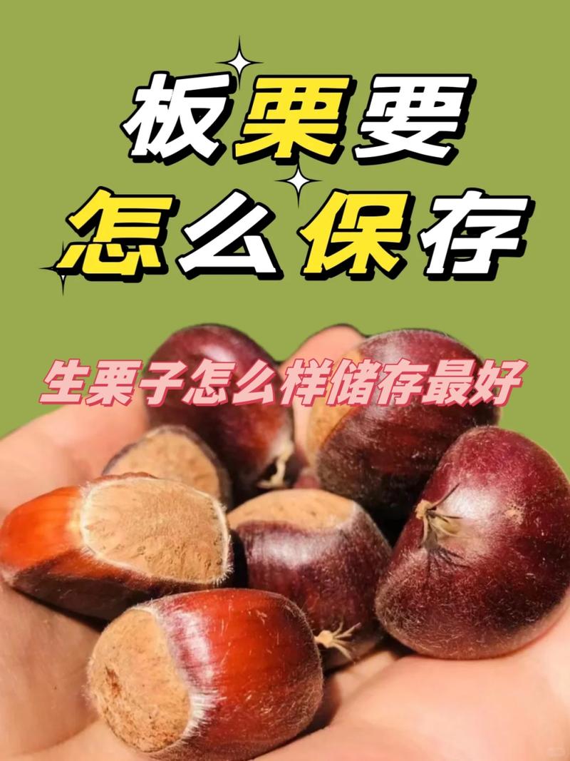 板栗的储存与保鲜方法，板栗的储存与保鲜方法图片？-第1张图片-屿企百科网