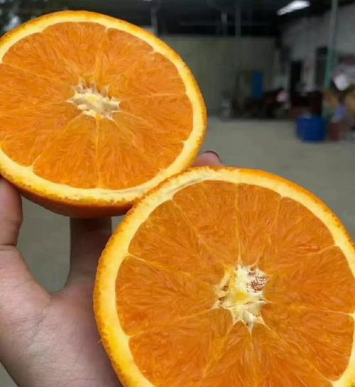 橙子为什么代表暗恋，橙子是什么暗号？-第2张图片-屿企百科网