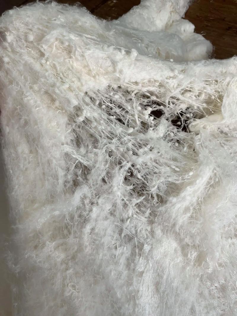 做蚕丝被为什么要杀蛹，做蚕丝被为什么要煮茧-第1张图片-屿企百科网