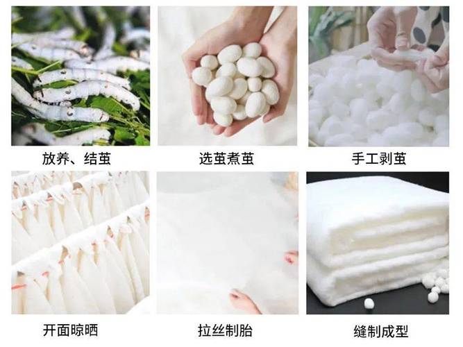 做蚕丝被为什么要杀蛹，做蚕丝被为什么要煮茧-第5张图片-屿企百科网