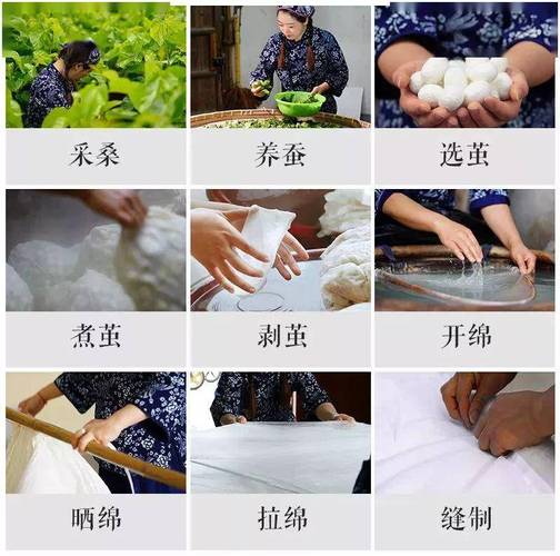做蚕丝被为什么要杀蛹，做蚕丝被为什么要煮茧-第6张图片-屿企百科网