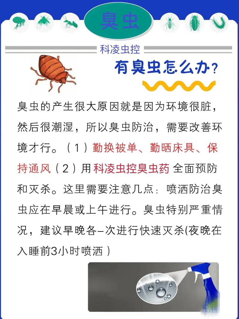 除床虱最简单的方法，怎样除掉床虱-第4张图片-屿企百科网