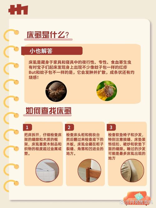 除床虱最简单的方法，怎样除掉床虱-第7张图片-屿企百科网