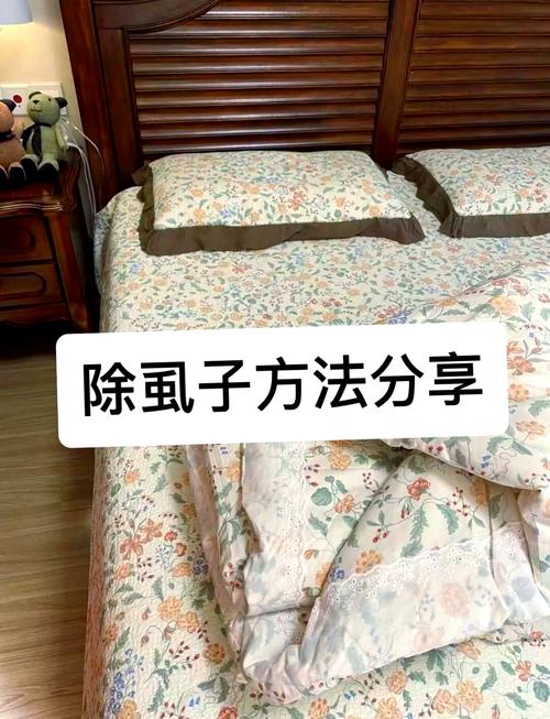 除床虱最简单的方法，怎样除掉床虱-第8张图片-屿企百科网