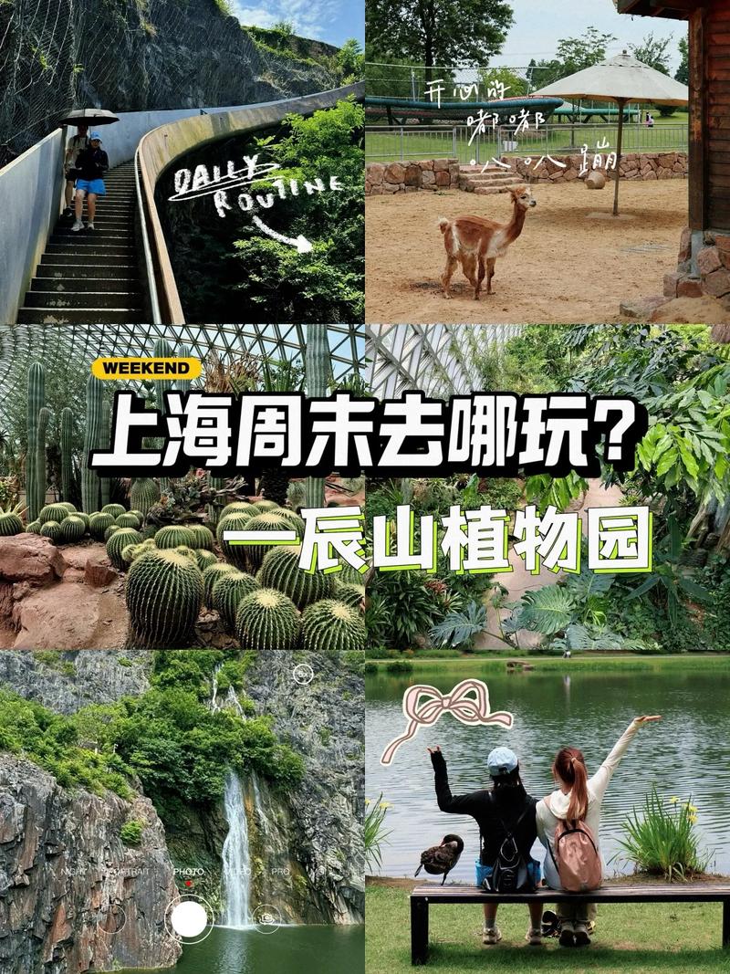 上海辰山植物园景点介绍，上海辰山植物园景点介绍作文？-第1张图片-屿企百科网