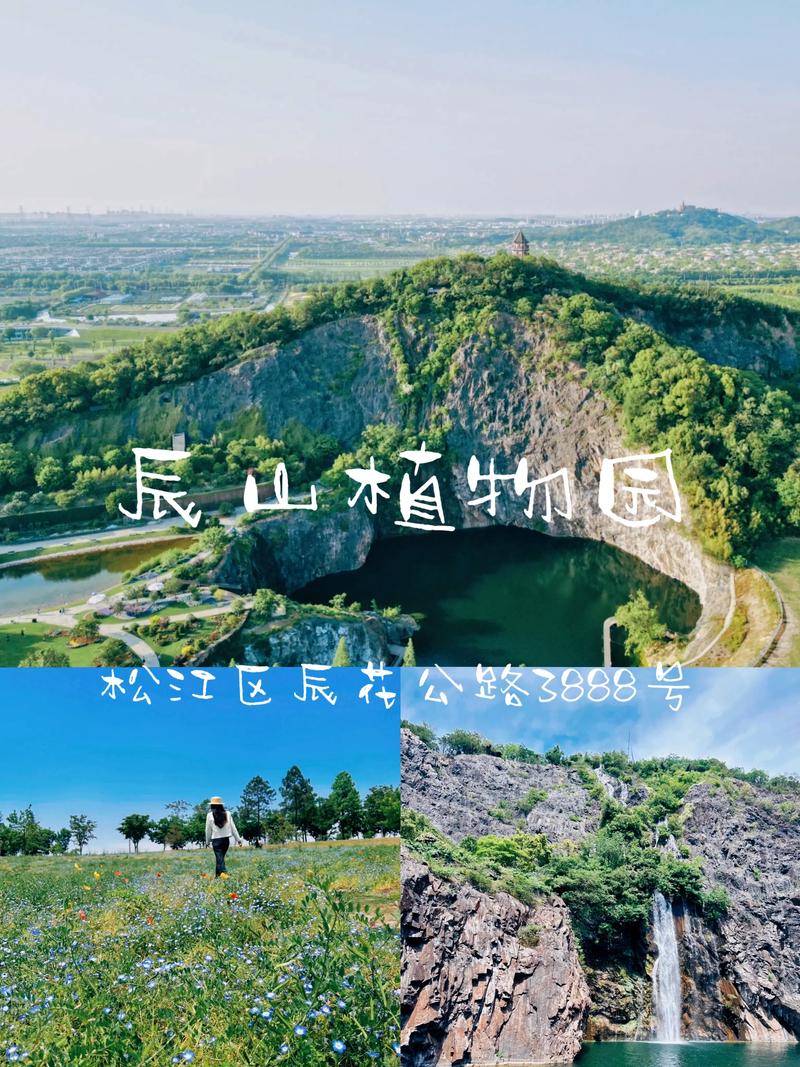 上海辰山植物园景点介绍，上海辰山植物园景点介绍作文？-第4张图片-屿企百科网