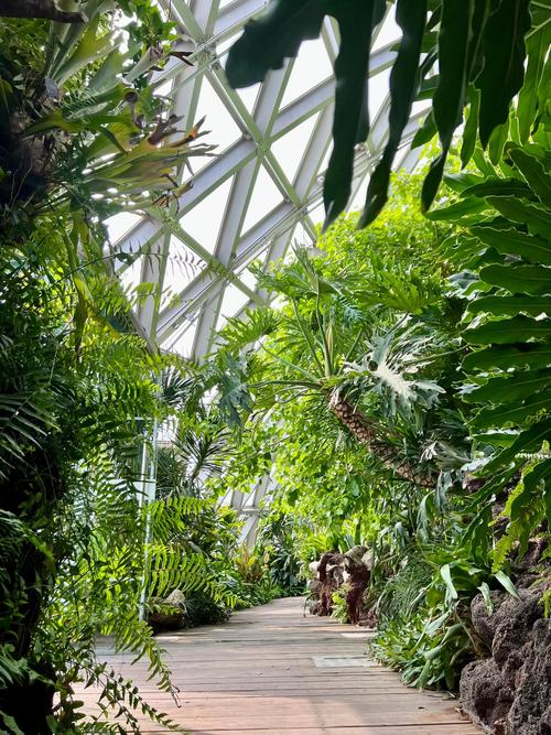 上海辰山植物园景点介绍，上海辰山植物园景点介绍作文？-第5张图片-屿企百科网